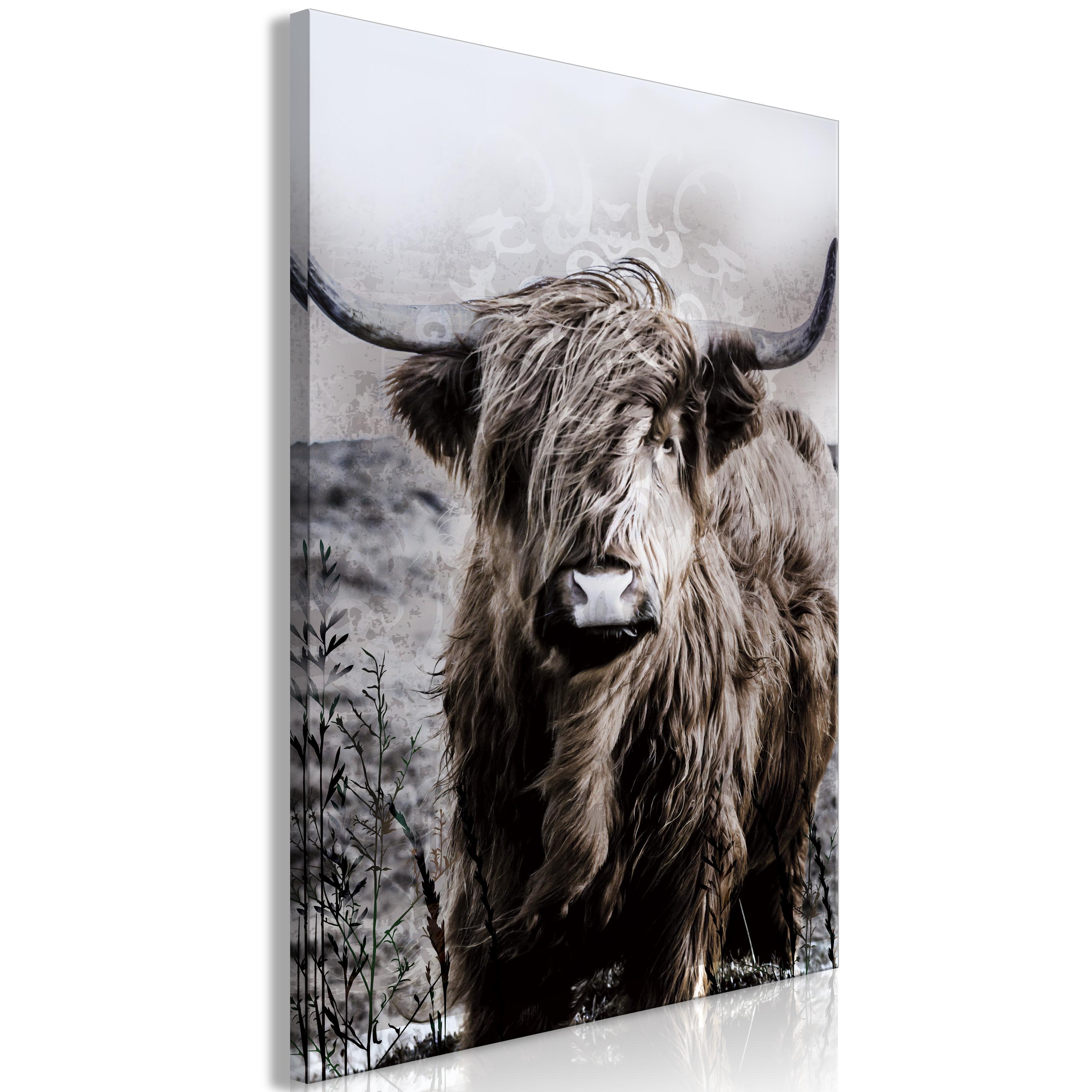 Billede - Highland Cow in Sepia - 80 x 120 cm - Standard