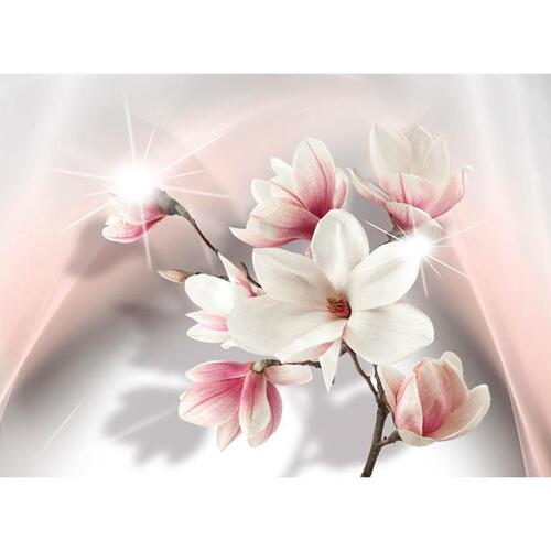 Fototapet - White Magnolias II