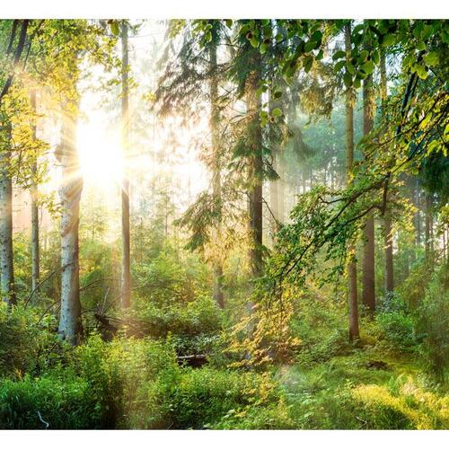 Fototapet - Untamed Nature