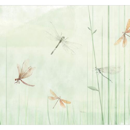 Fototapet - Dragonflies in the Meadow