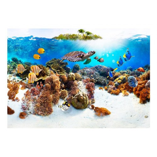 Fototapet Cay med havskildpadde og koralrev