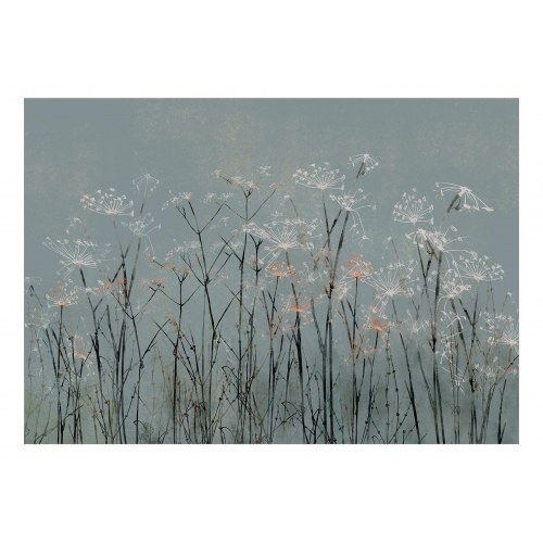 Fototapet med hvidløgsblomster