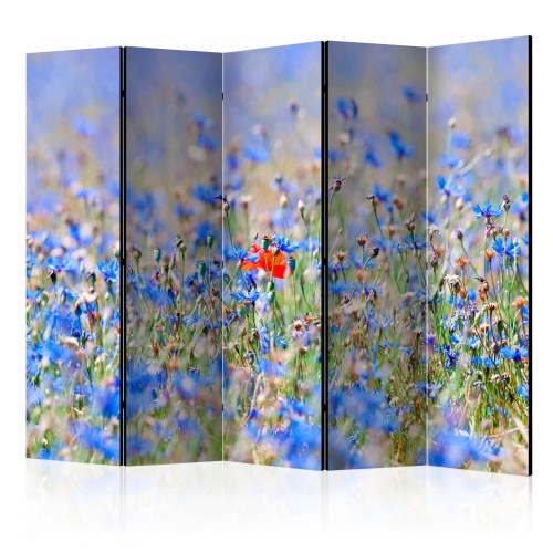 Skærmvæg - A sky-colored meadow - cornflowers II