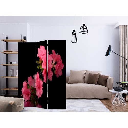 Skærmvæg - Azalea in Black