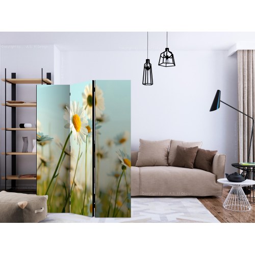 Skærmvæg - Daisies - spring meadow