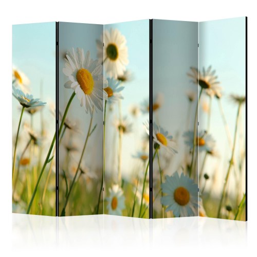 Skærmvæg - Daisies - spring meadow II