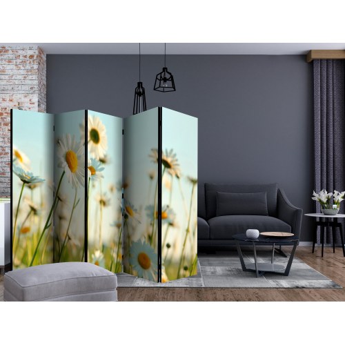 Skærmvæg - Daisies - spring meadow II