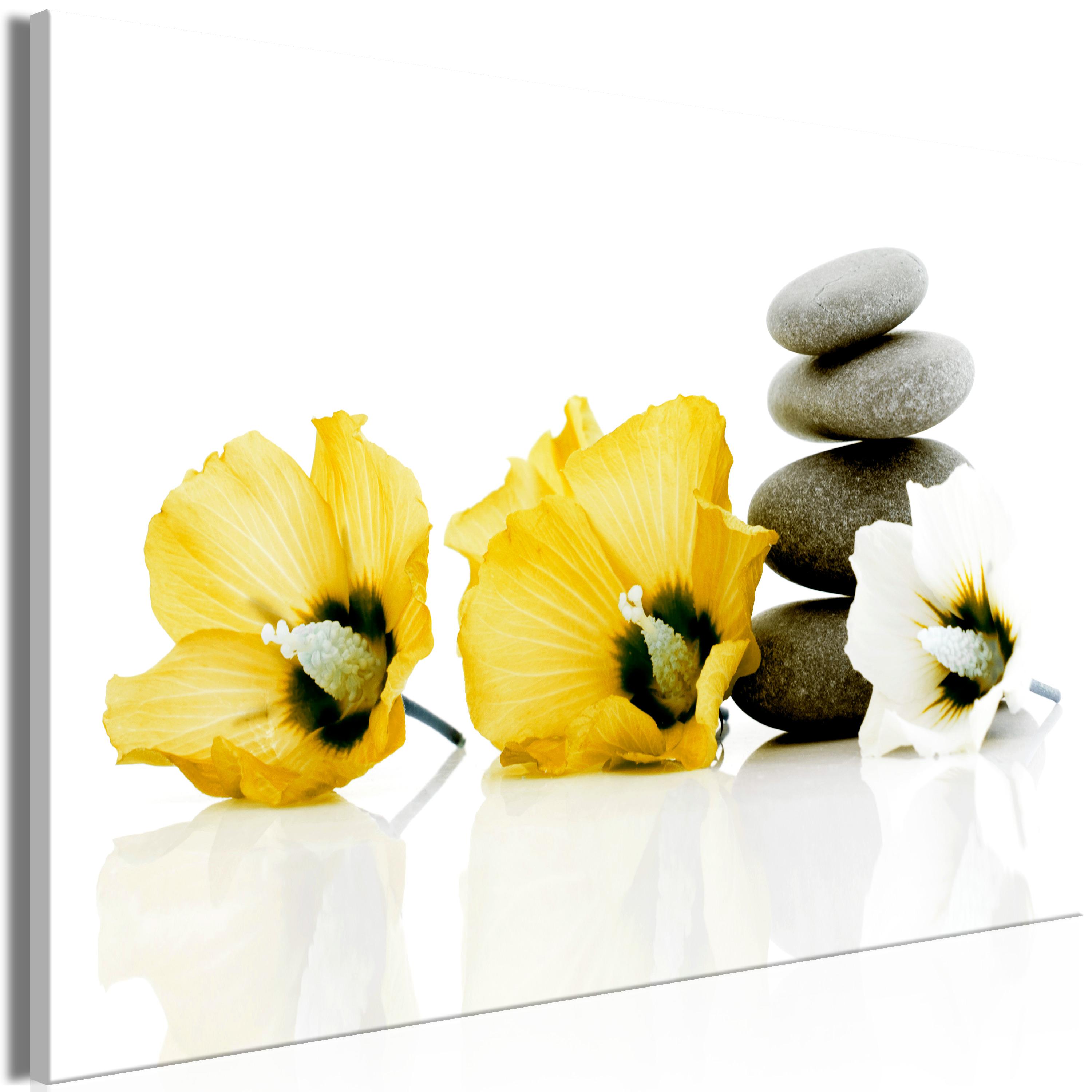 Billede - Calm Mallow (1 Part) Wide Yellow - 60 x 40 cm - Premium Print