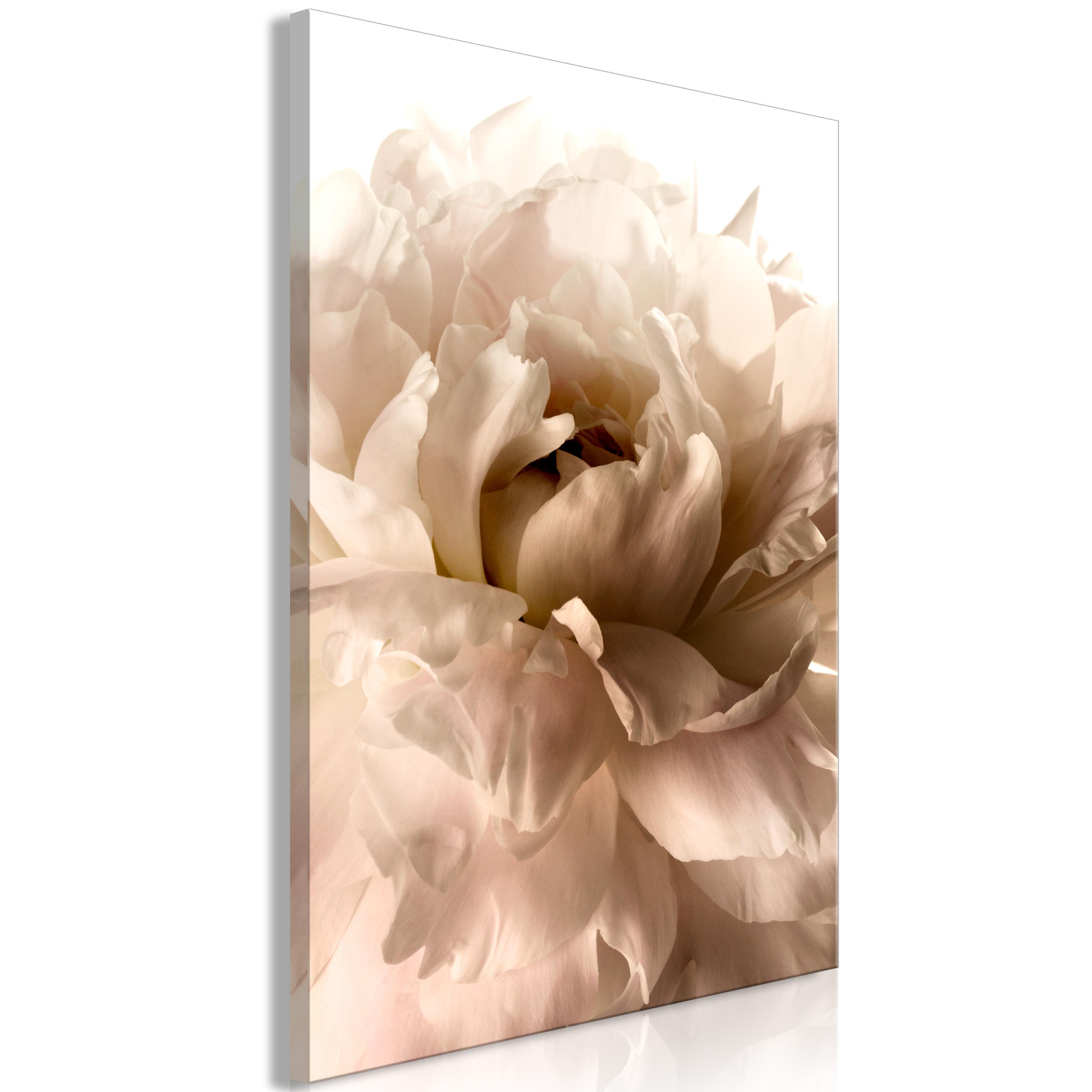 Billede - Soft Petals (1 Part) Vertical - 40 x 60 cm - Premium Print