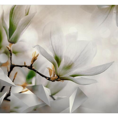 Fototapet - Subtle Magnolias - Second Variant