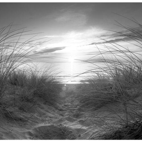 Fototapet - beach (black and white)