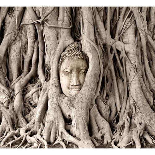 Fototapet - Buddha's Tree