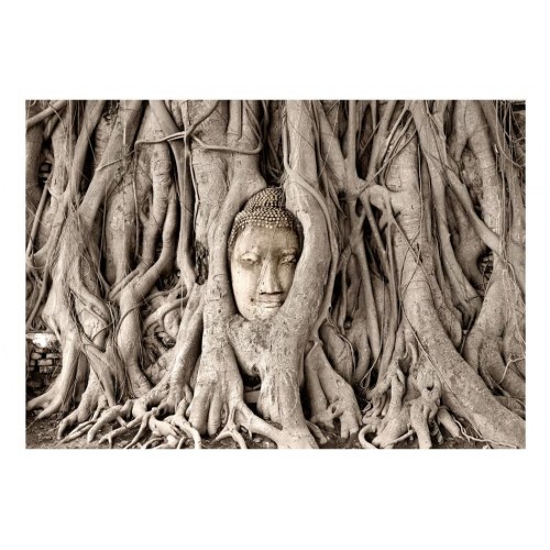 Fototapet - Buddha's Tree