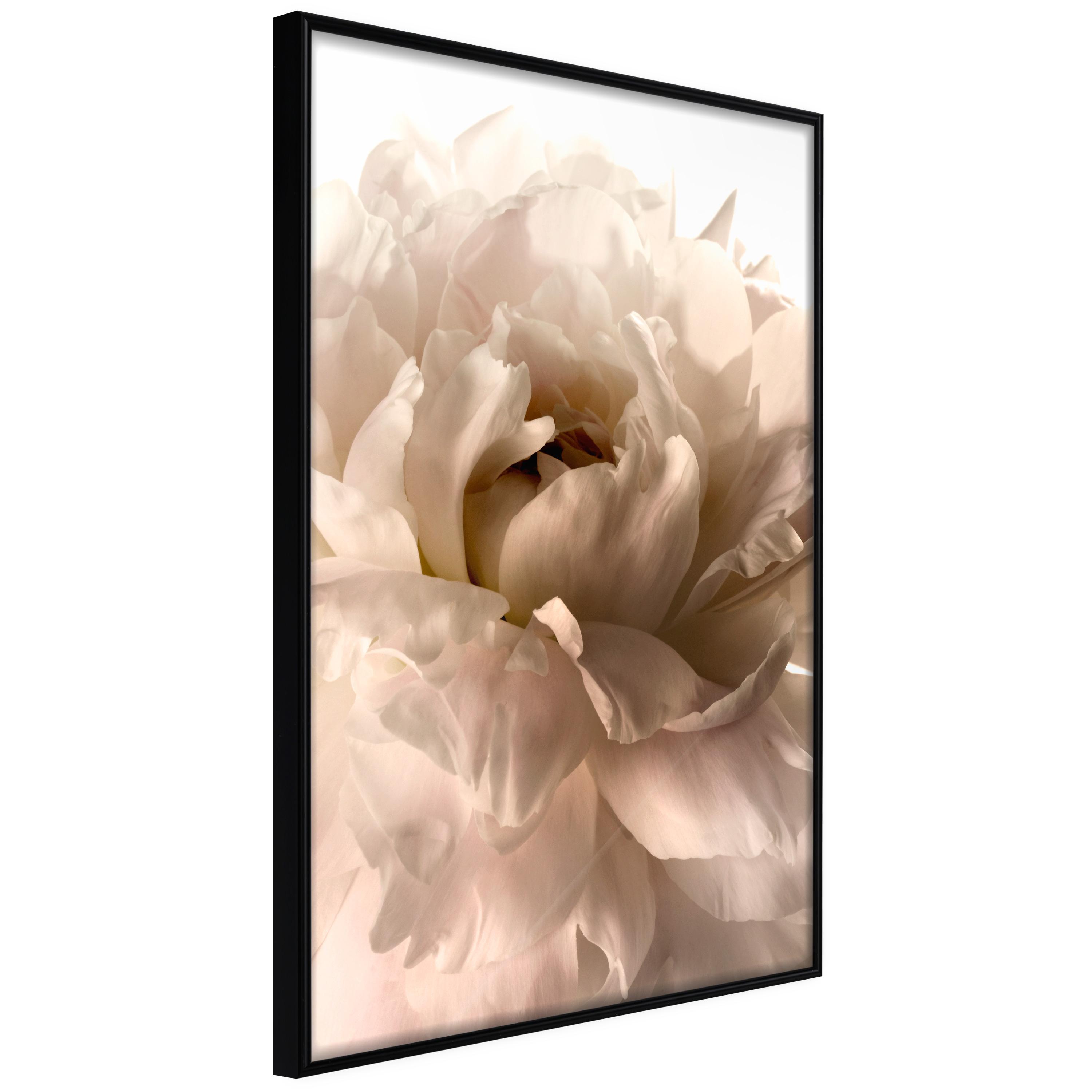 Plakat - Soft Petals - 30 x 45 cm - Sort ramme