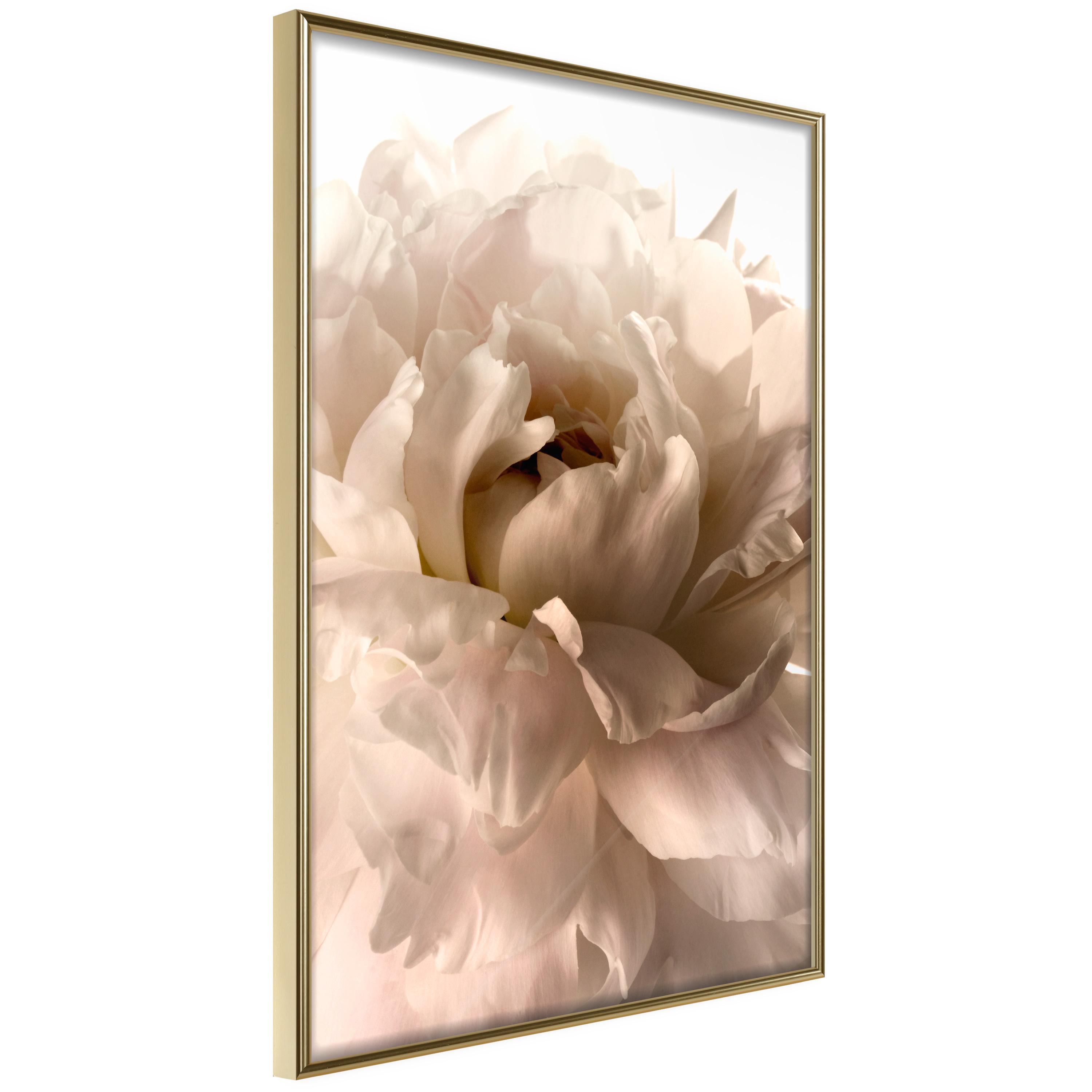 Plakat - Soft Petals - 30 x 45 cm - Guldramme