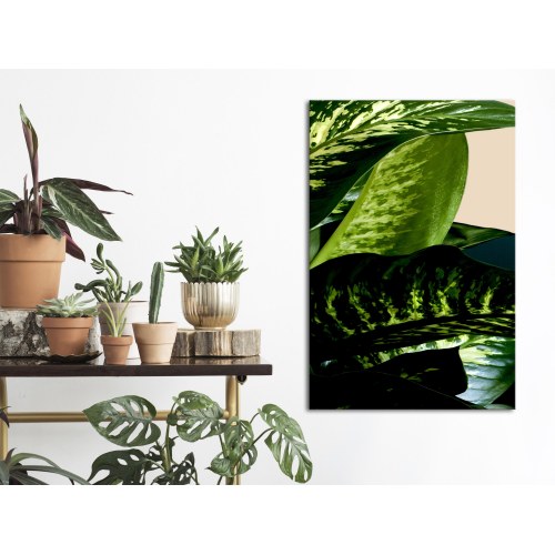 Lærredsbillede Dieffenbachia 1-delt lodret vægbillede med blade