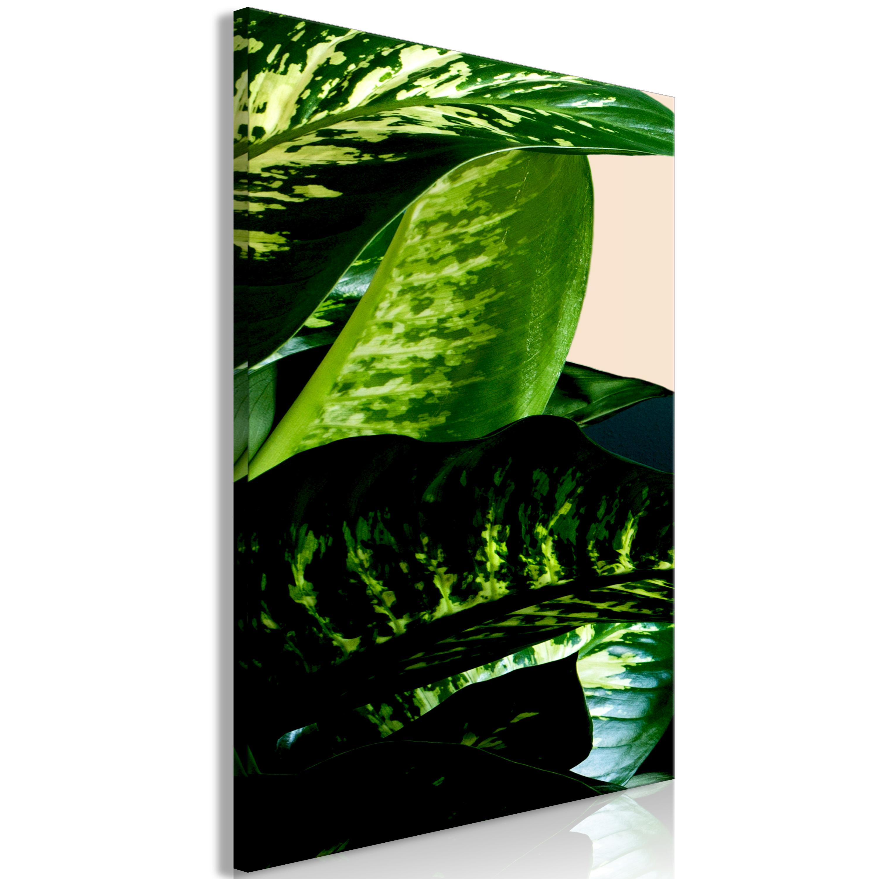 Billede - Dieffenbachia (1 Part) Vertical - 40 x 60 cm - På italiensk lærred