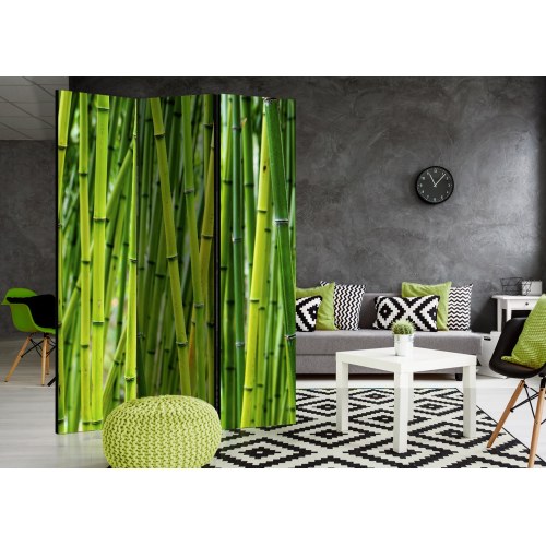 Skærmvæg - Bamboo Forest