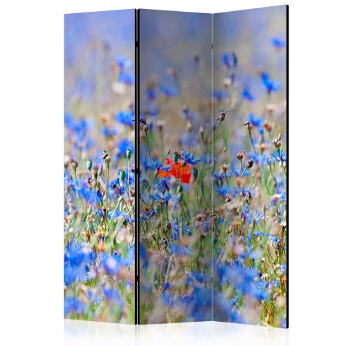 Skærmvæg - A sky-colored meadow - cornflowers