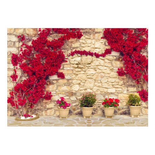 Fototapet - Warm afternoon