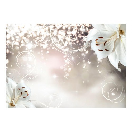 Fototapet - Magic composition