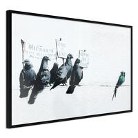 Plakat - Xenophobic Pigeons