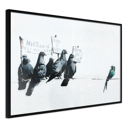 Plakat - Xenophobic Pigeons