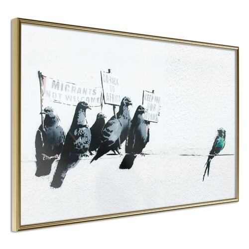 Plakat - Xenophobic Pigeons