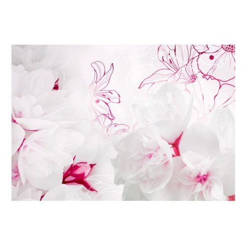 Fototapet - Enveloped in white