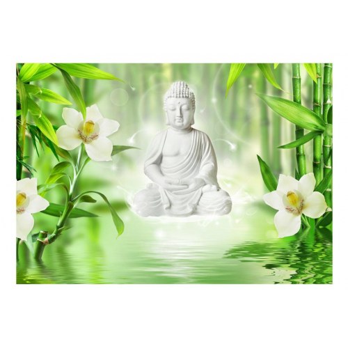 Fototapet - Buddha and nature