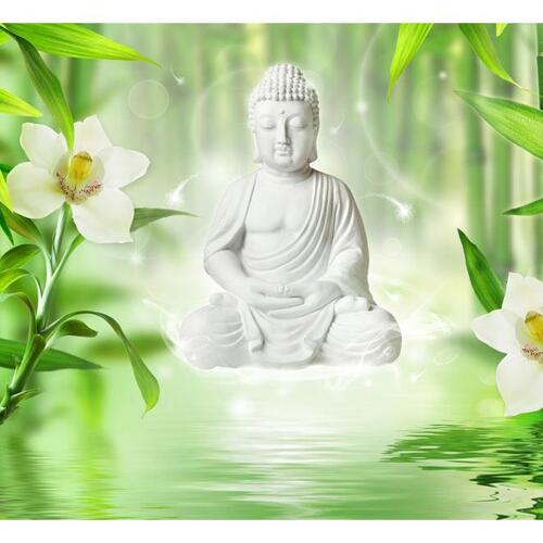 Fototapet - Buddha and nature