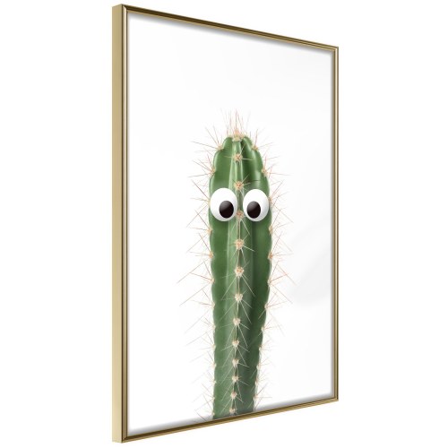 Plakat - Live Cactus