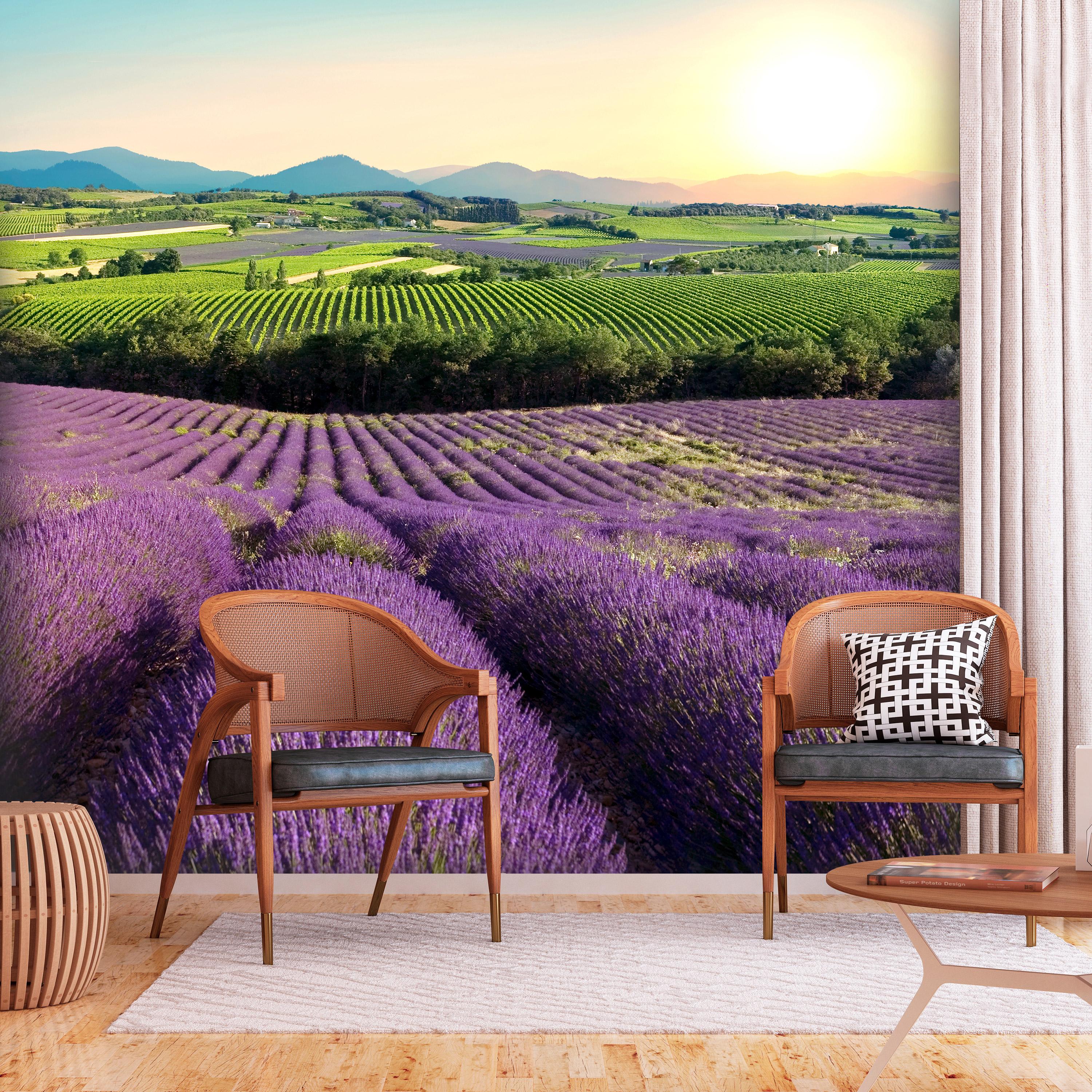 Fototapet - Lavender Field - 441 x 315 cm - Selvklæbende