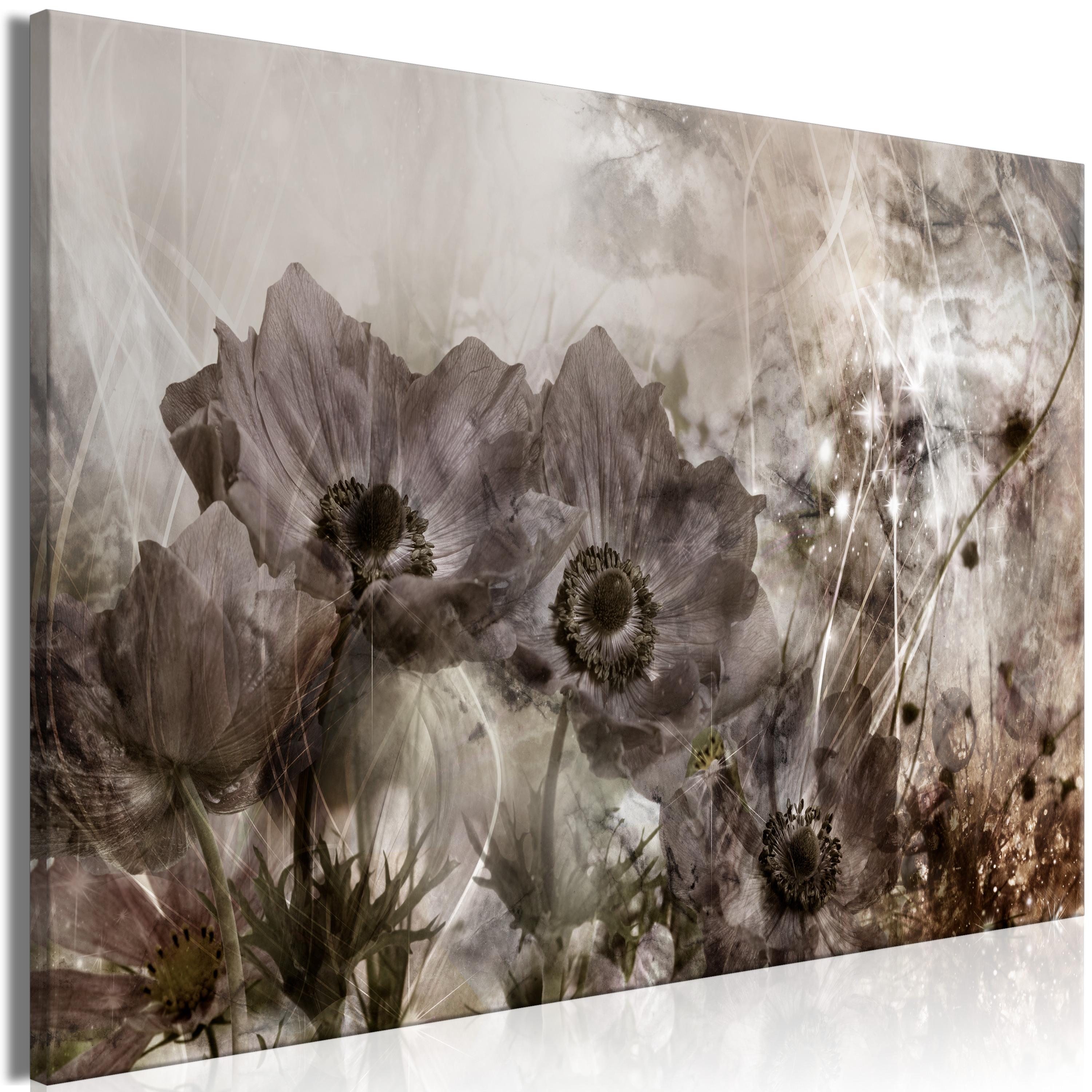 Billede - Anemones in Sepia (1 Part) Wide - 120 x 80 cm - Standard