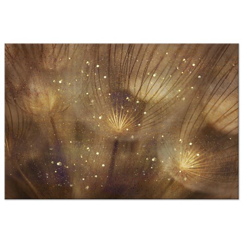 Billede på lærred med mælkebøtter - Golden Dandelions bredformat