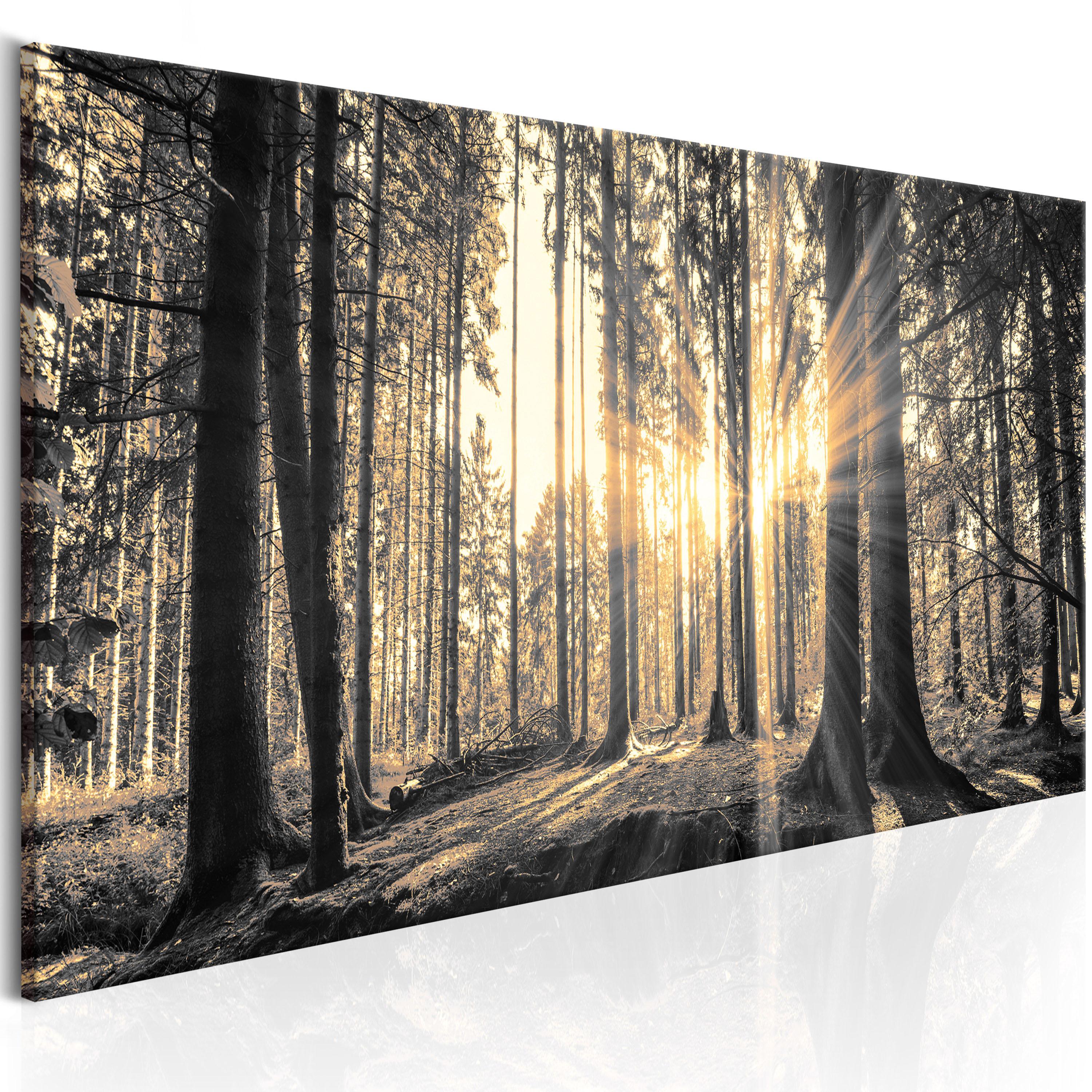 Billede - Forest Sun - 120 x 40 cm - På italiensk lærred