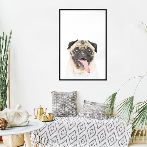 Plakat - Pug