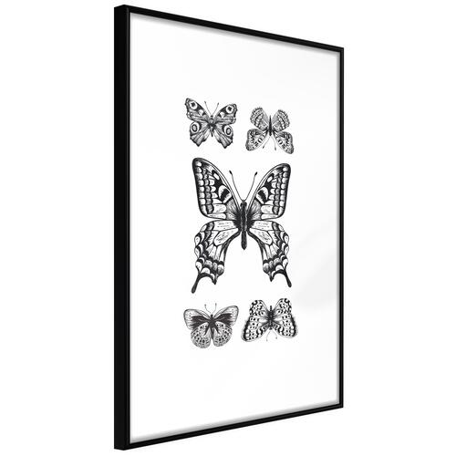 Plakat - Five Butterflies