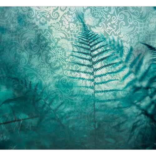 Fototapet - In the Quiet of the Forest