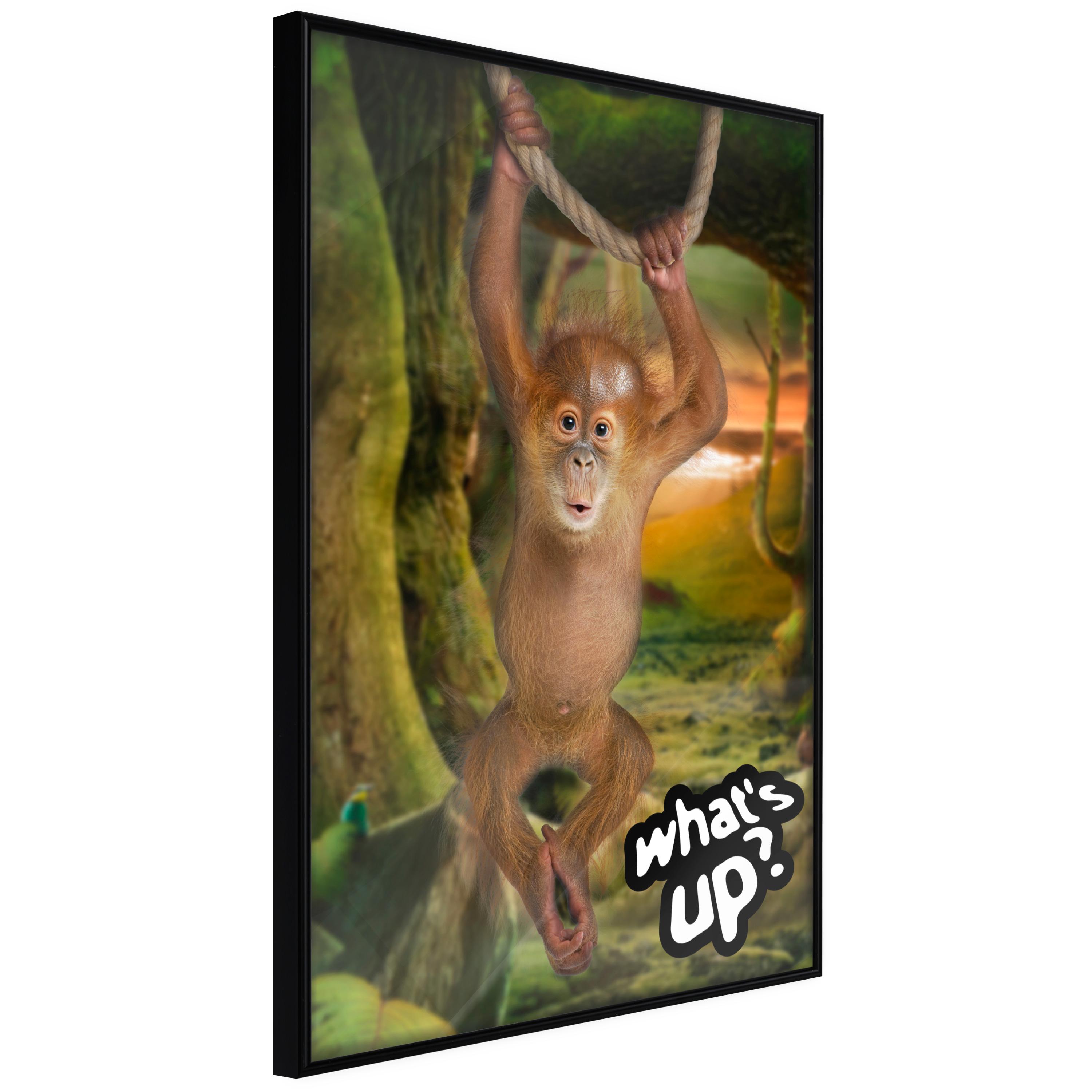 Plakat - What's Up? - 40 x 60 cm - Sort ramme