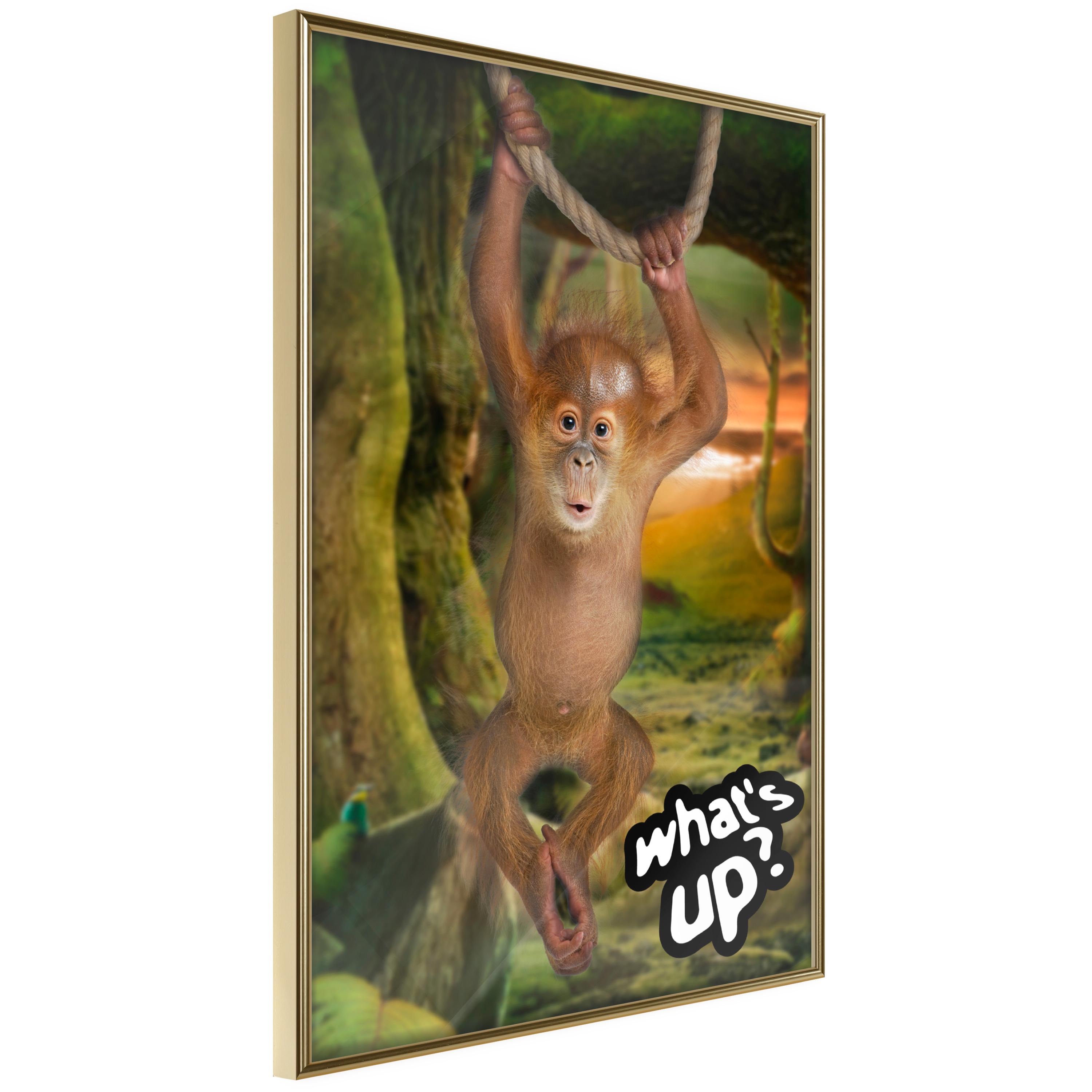 Plakat - What's Up? - 40 x 60 cm - Guldramme