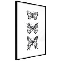 Plakat - Three Butterflies