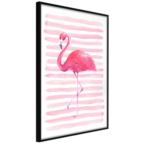 Plakat - Flamingo and Stripes