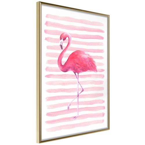 Plakat - Flamingo and Stripes