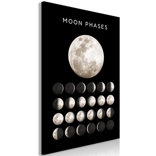 Billede - Moon Phases (1 Part) Vertical