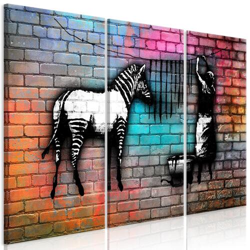 Billede - Washing Zebra - Colourful Brick (3 dele)