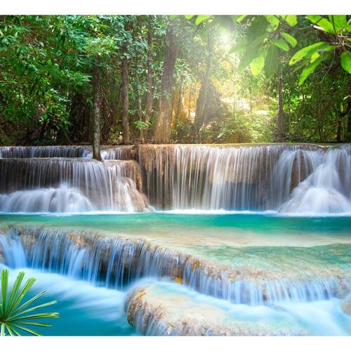 Fototapet - Awakening of nature