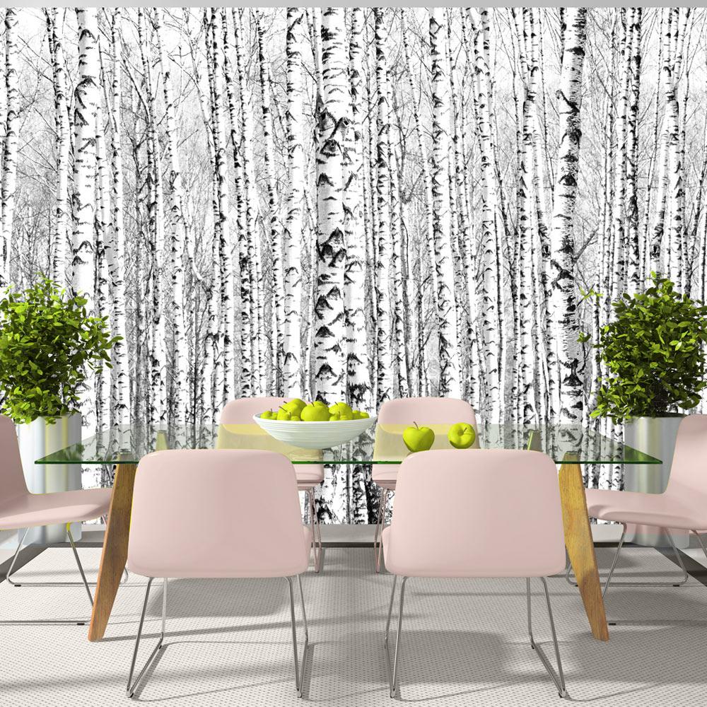 Fototapet - Birch forest - 392 x 280 cm - Selvklæbende