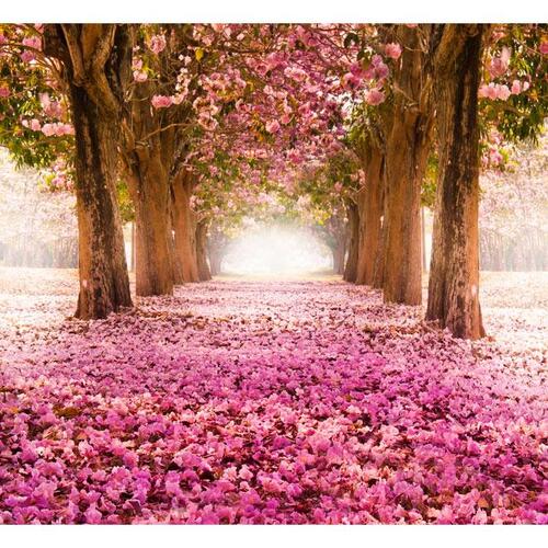 Fototapet - Pink grove