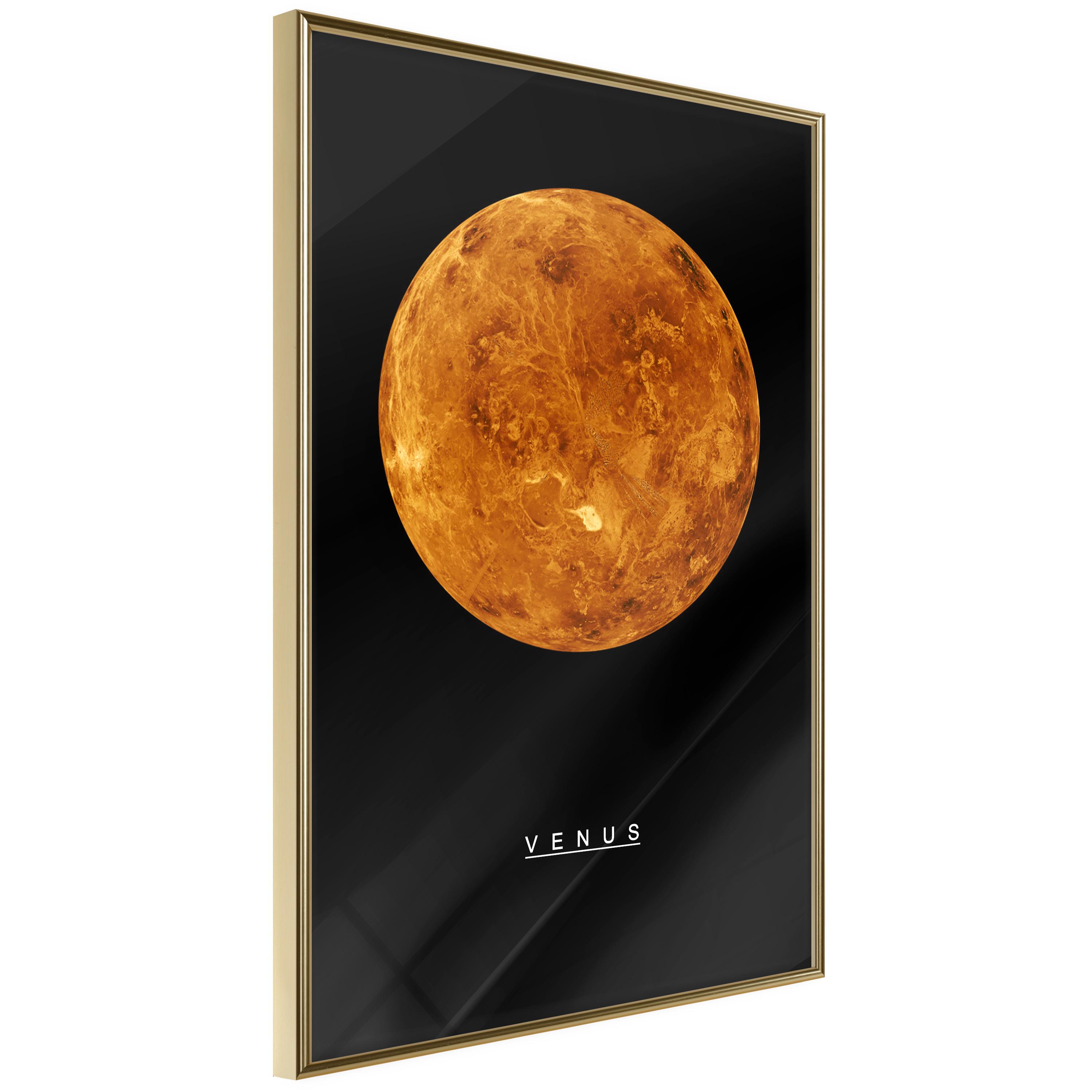 Plakat - Venus - 30 x 45 cm - Guldramme